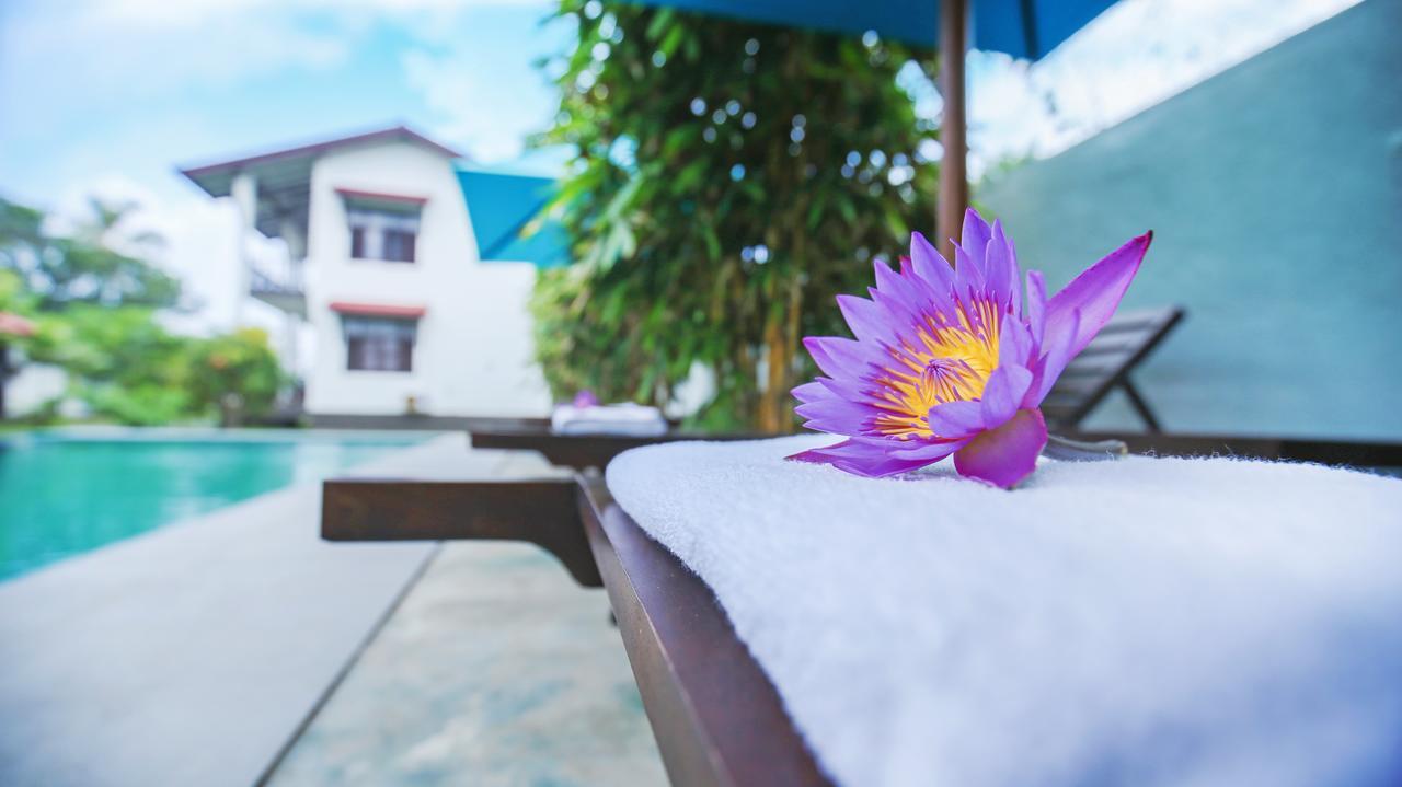 Kaminrich Cottage Matara Zewnętrze zdjęcie